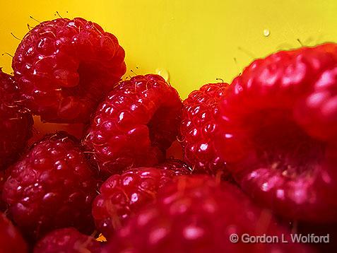 Breakfast Berries_01979.jpg - Photographed at Smiths Falls, Ontario, Canada.